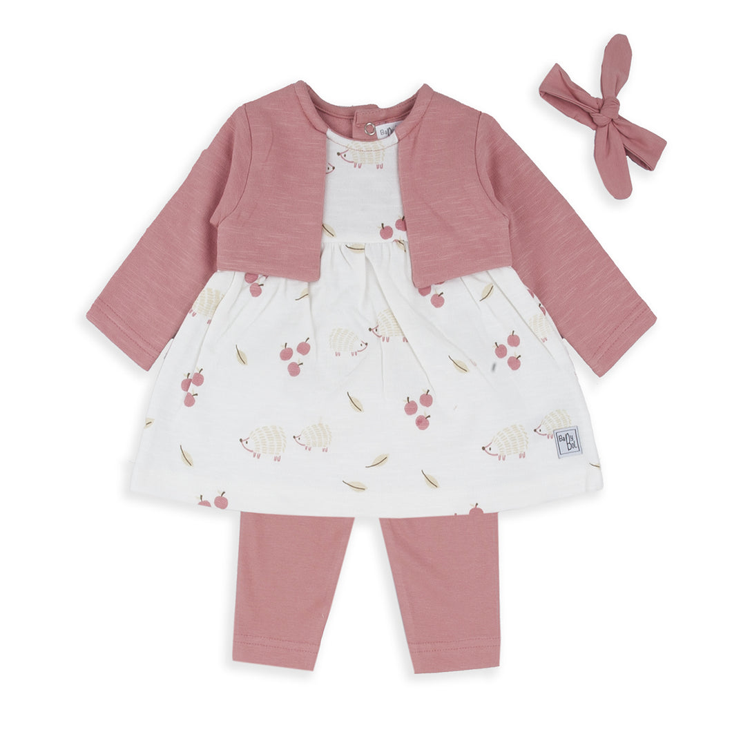 Babybol Baby Girl's Three Piece Set 250830 Colour- Blush