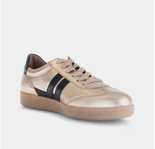 Load image into Gallery viewer, Gabor Champagne/Black Trainer 73.300.62
