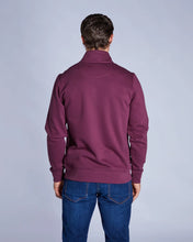 Load image into Gallery viewer, Diesel Dax half zipp (fig) z25553M0744
